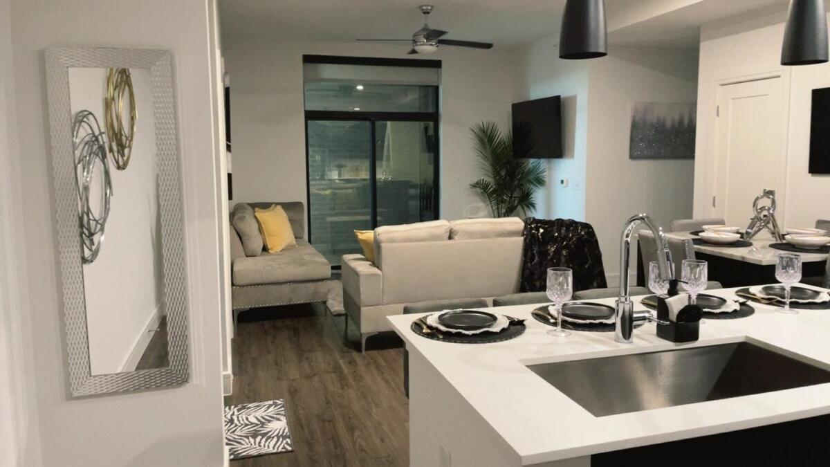 Gray Luxe At Nrg Apartment Houston