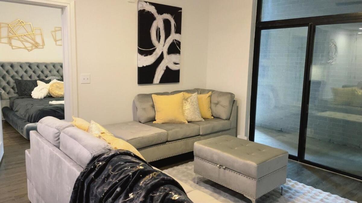 Apartment Gray Luxe At Nrg Houston
